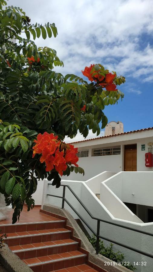 Club El Paradero Playa de las Americas  Exterior photo